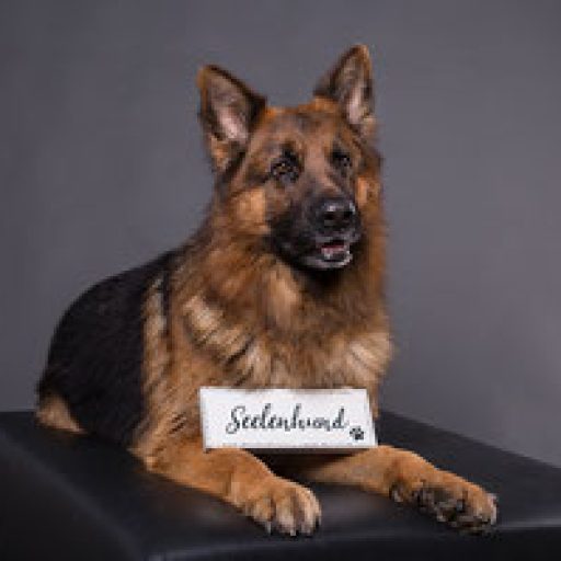 Von der Bischofseiche