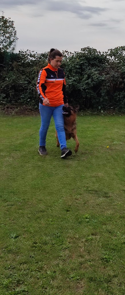 Franziska Weiß mit Xine von der Bischofseiche bei der Arbeit